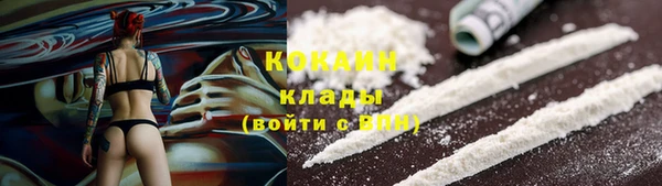 ALPHA PVP Бородино