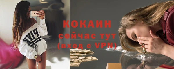 ALPHA PVP Бородино