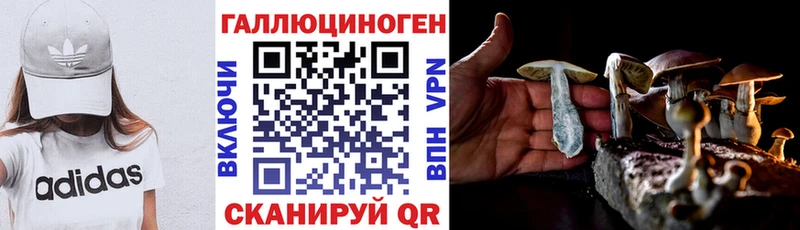 даркнет сайт  Нестеров  Псилоцибиновые грибы ЛСД 